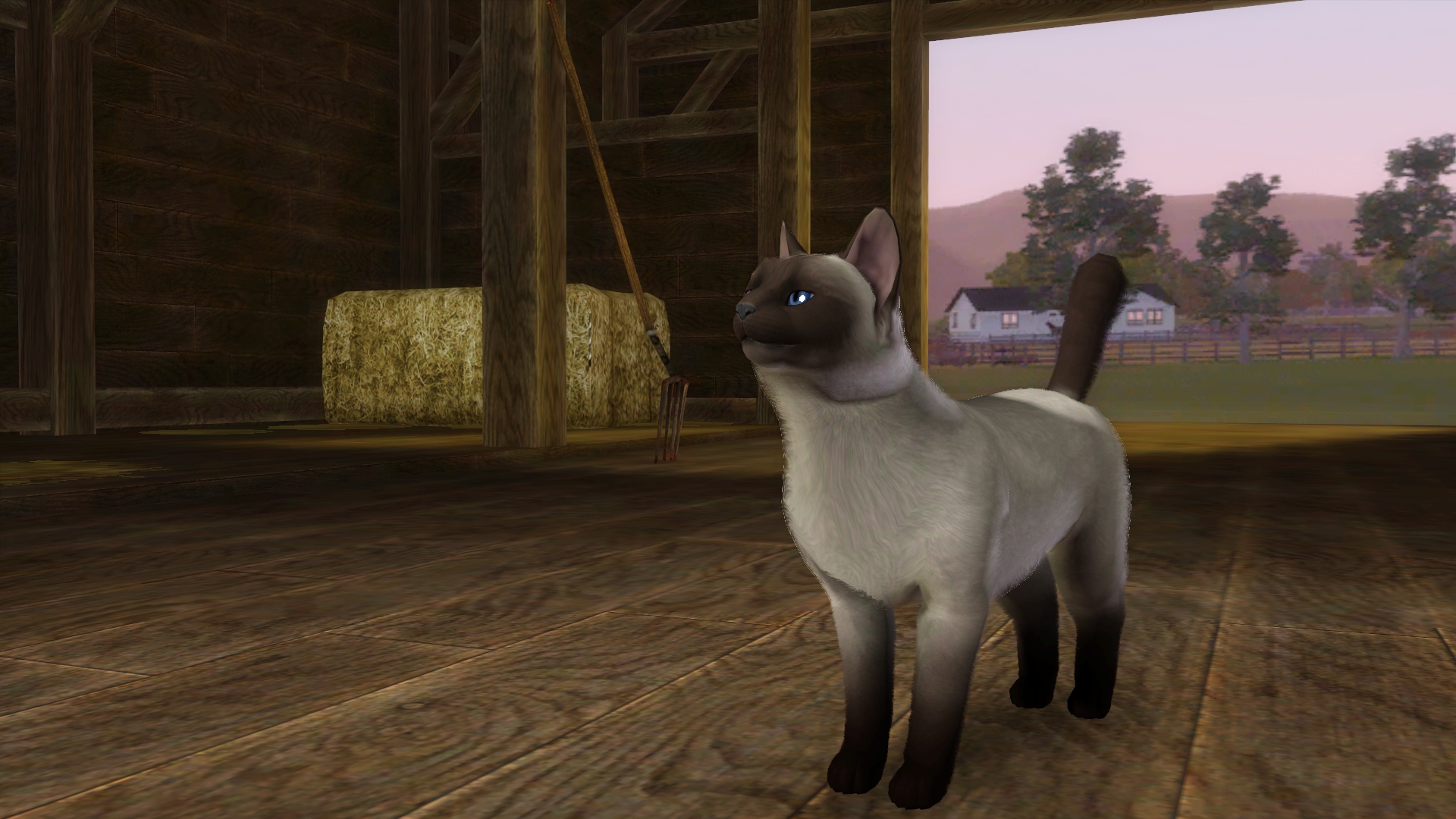 ペット(猫の種類): The Sims 3(ザ・シムズ3) 拡張・追加パック